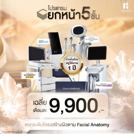 โปรแกรมยกหน้า 5 ชั้น